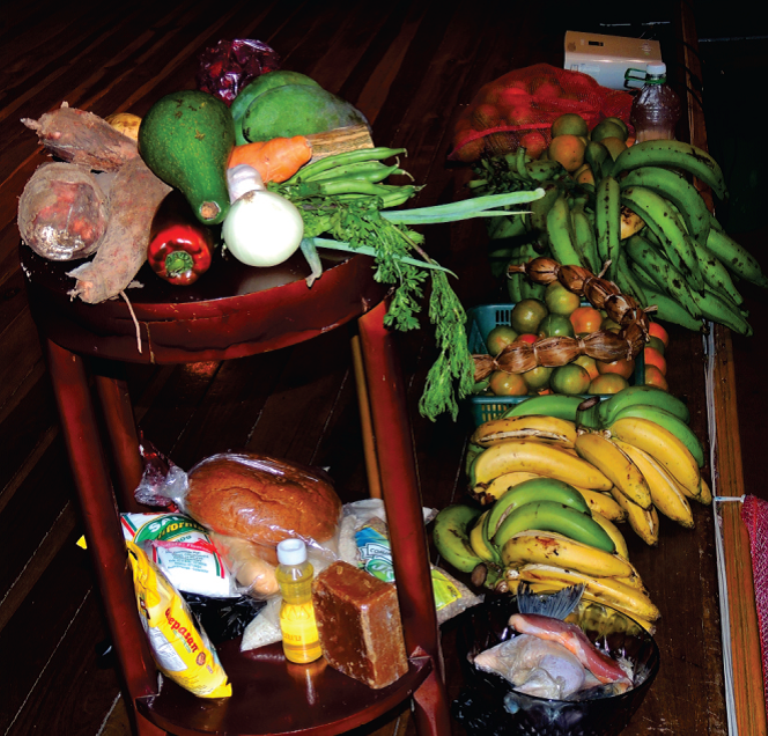 OBUSINGA entregó resultados sobre estudio de Canasta Alimentaria Básica  de San Vicente de Chucuri