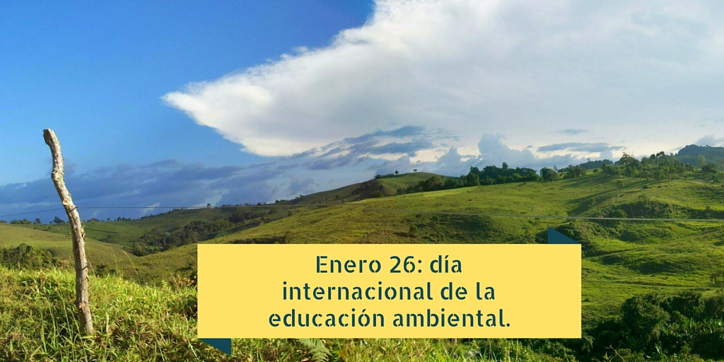 La CAS celebra el día internacional de la educación ambiental.