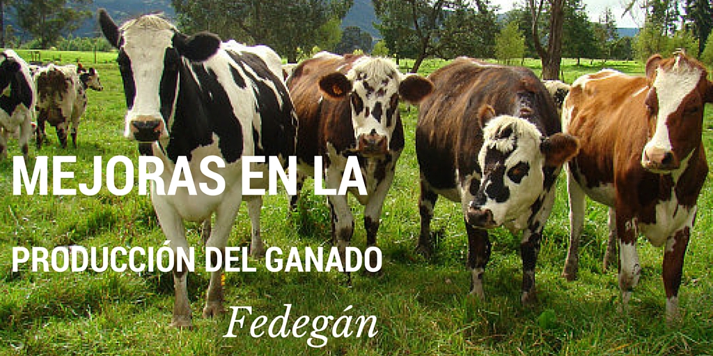 La Federación Nacional de Ganaderos, Fedegán, realizo la jornada de Actualización Ganadera.