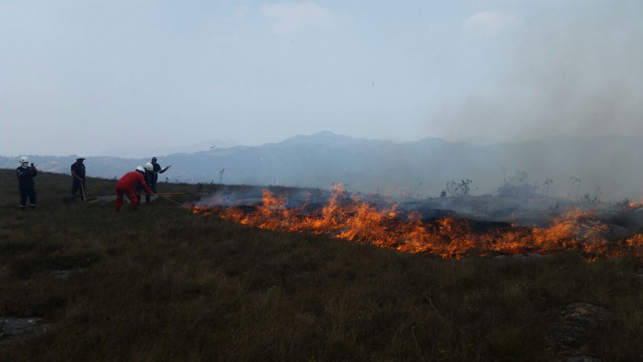 llamado a evitar quemas forestales en el municipio de Curitì.