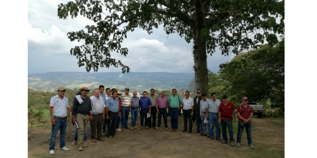 Paneleros preocupados por la baja en el precio.